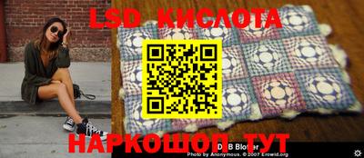 гидра Кимры
