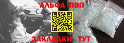 твердый Кингисепп