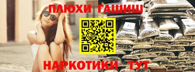 твердый Кингисепп