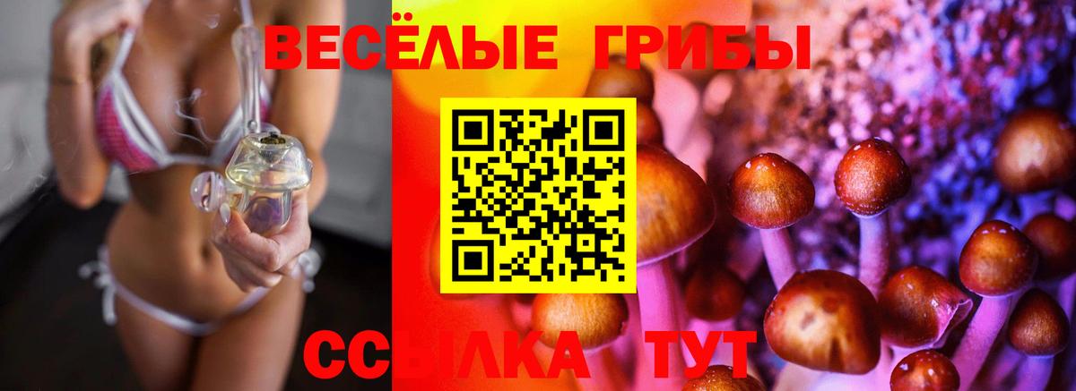 Псилоцибиновые грибы Psilocybe  Вход с VPN  Красный Сулин 